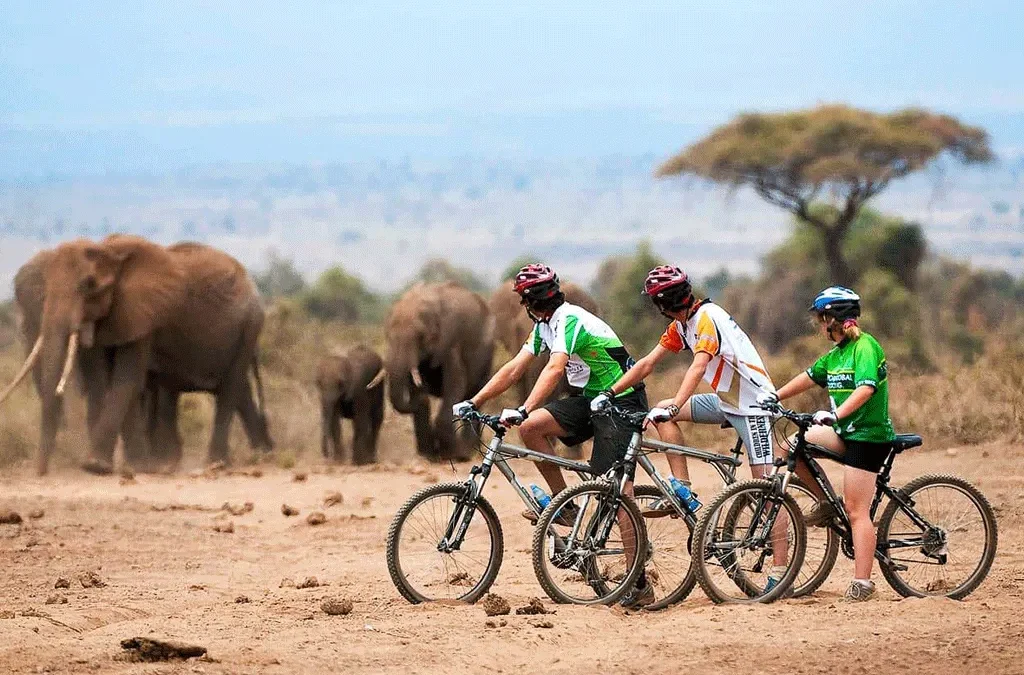 2-Day Uganda Wildlife and Cycling Safari