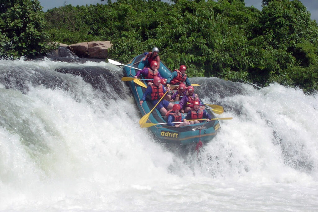 1-Day Jinja Safari