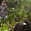 5 Common Gorilla Trekking Mistakes