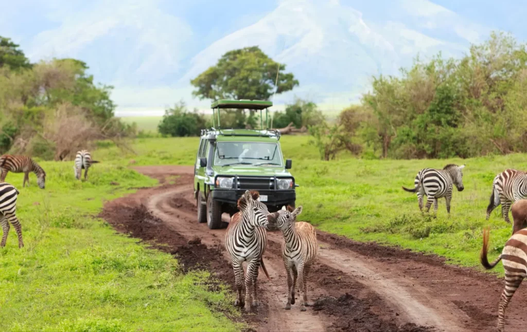 Africa Adventure Safaris and Tours