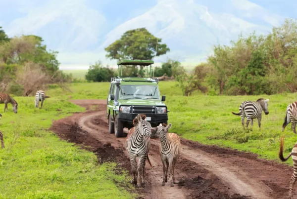 Africa Adventure Safaris and Tours