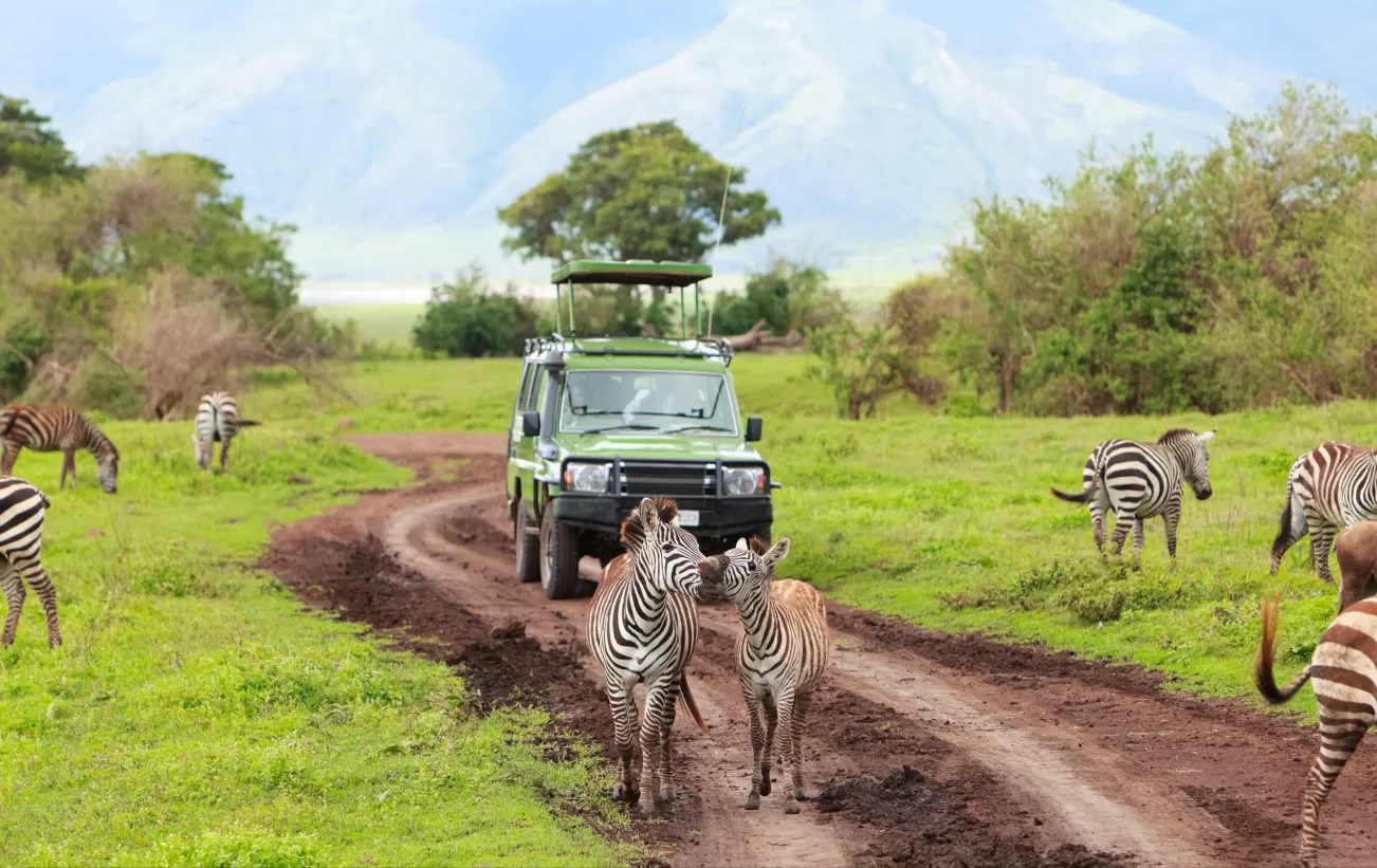 Africa Adventure Safaris and Tours