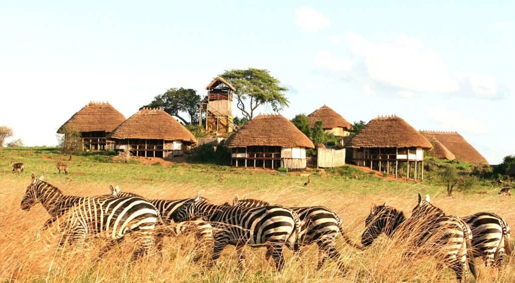 Game Drives in Kidepo Valley National Park: Into Uganda’s Wildest Frontier 1 Game Drives in Kidepo Valley National Park