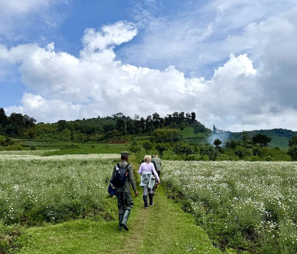 Gorilla Trekking the Silverback in Uganda from Chile