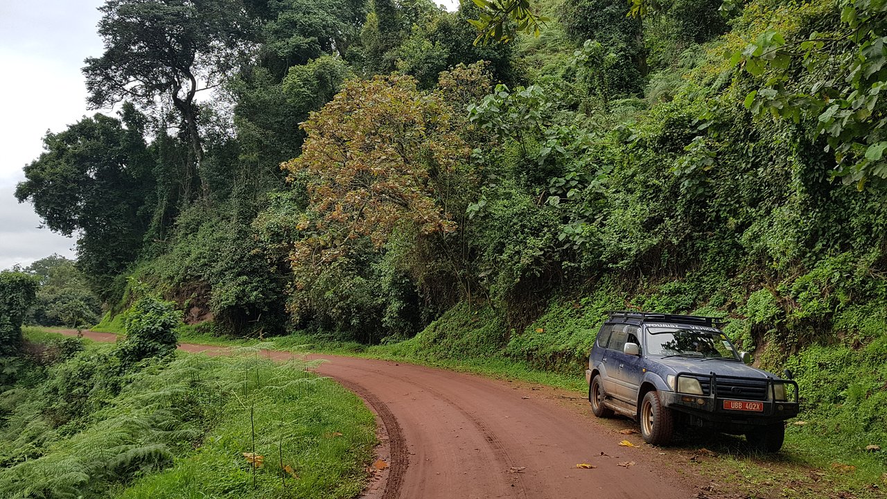 Self-Drive Safaris in Uganda