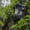 African Summer Bucket List
