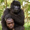 Can I Touch a Mountain Gorilla