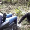 How People with Limited Mobility Can Trek to See Gorillas
