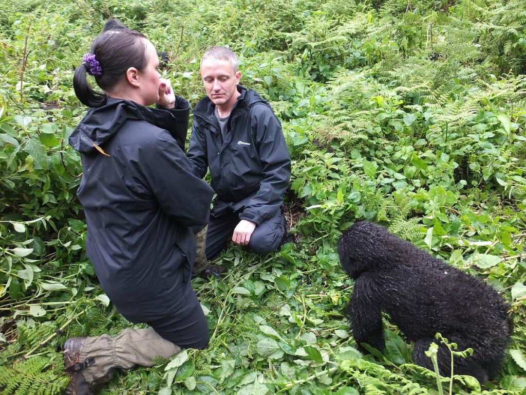Is Gorilla Trekking Safe
