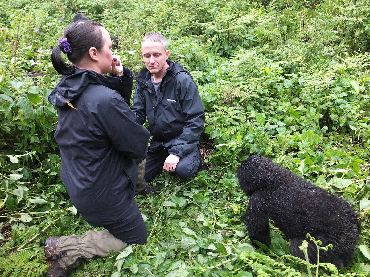 Is Gorilla Trekking Safe?