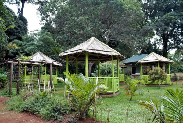 Exploring the Entebbe Botanical Gardens 2 Entebbe Botanical Gardens