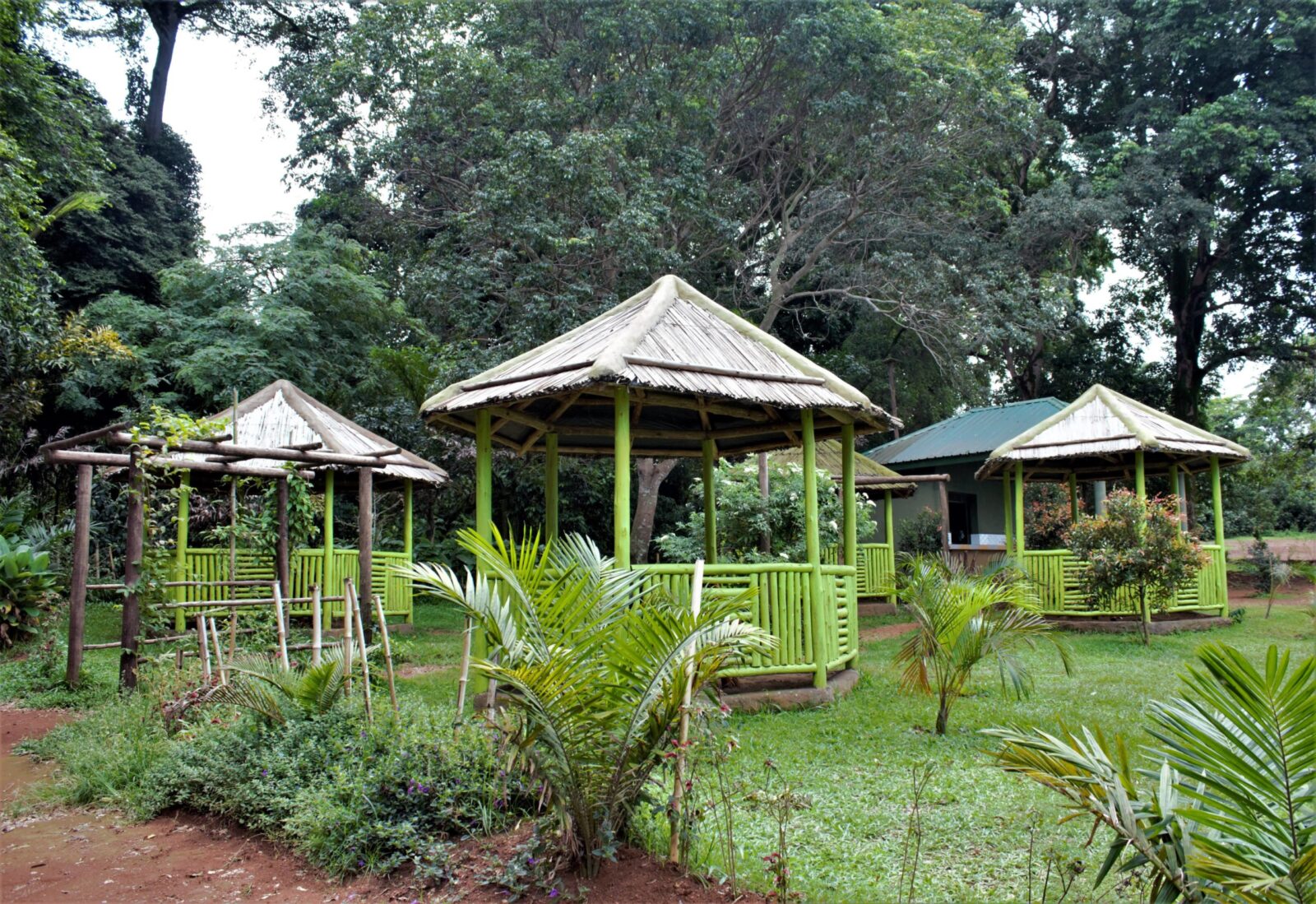 Exploring the Entebbe Botanical Gardens