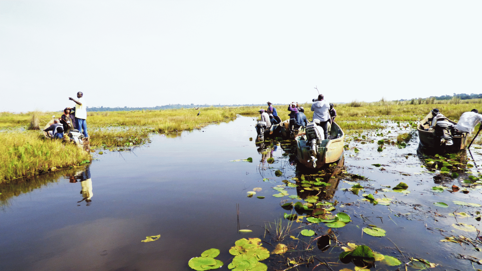 Mabamba Bay Birding Excursion Uganda