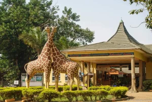 Uganda Wildlife Conservation Education Centre