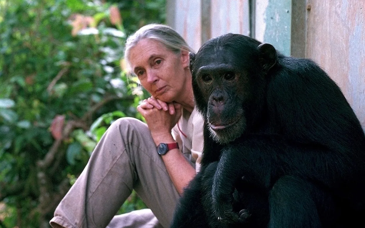 The World Mourns the Death of Chimpanzee Expert Jane Goodall