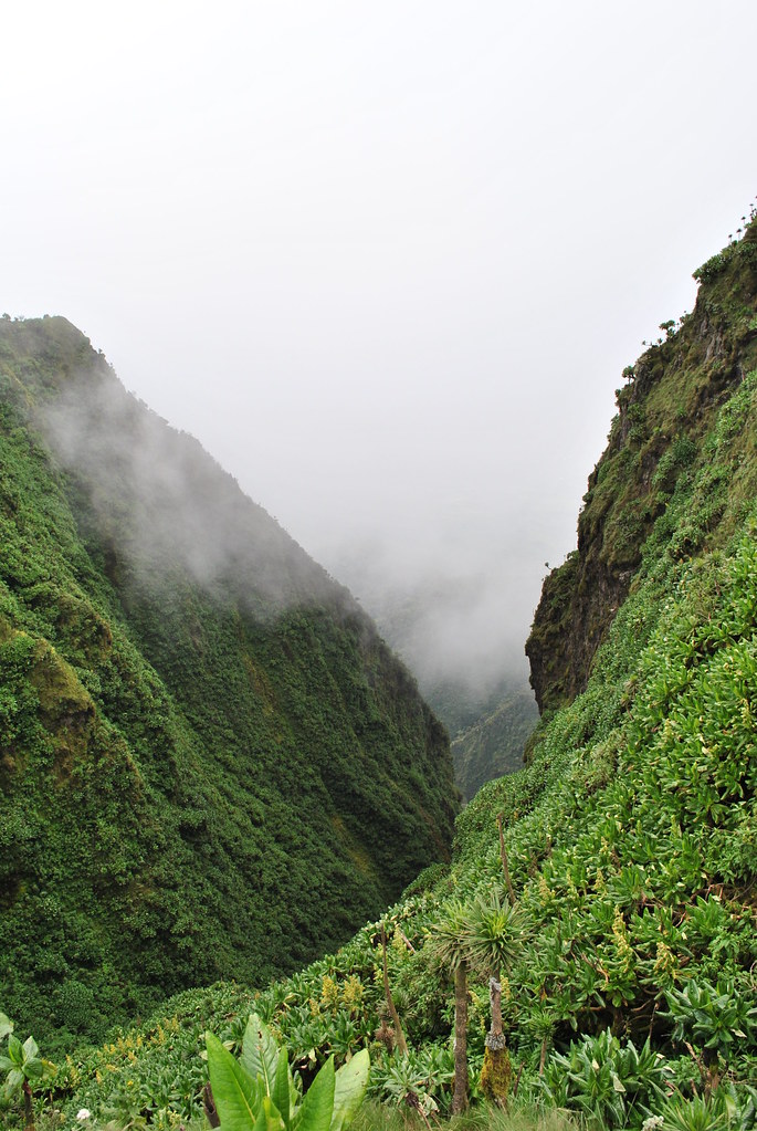 Murchison Falls National Park 25 svg+xml;charset=utf