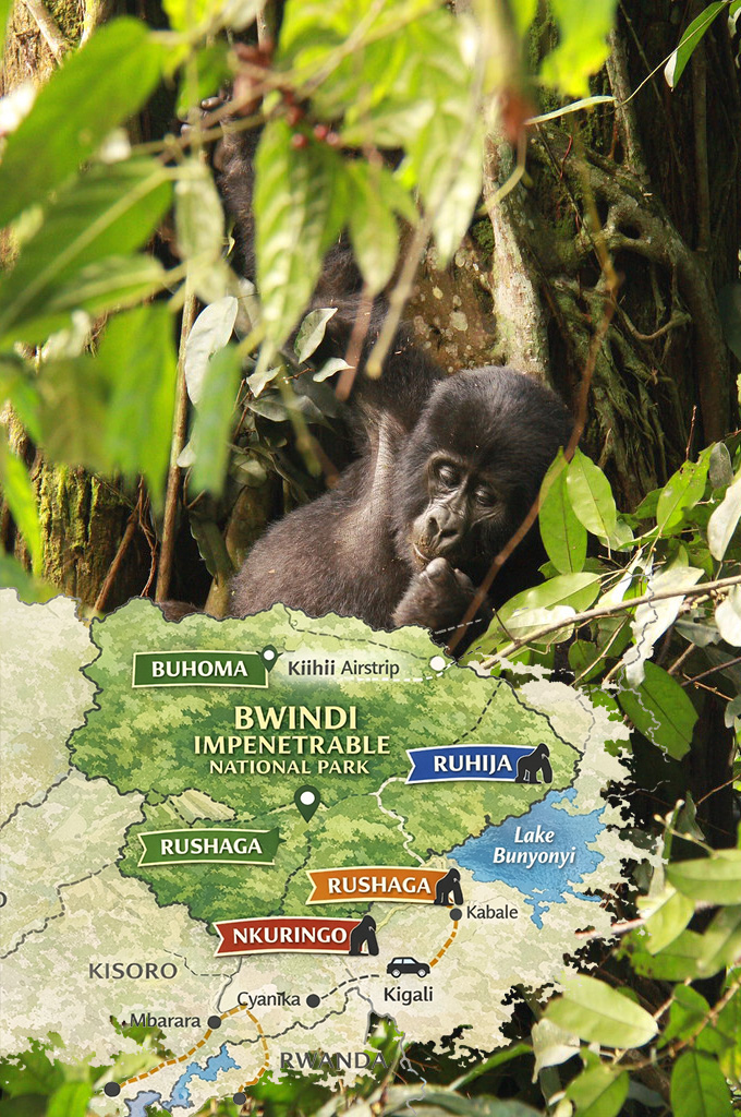 Murchison Falls National Park 21 svg+xml;charset=utf