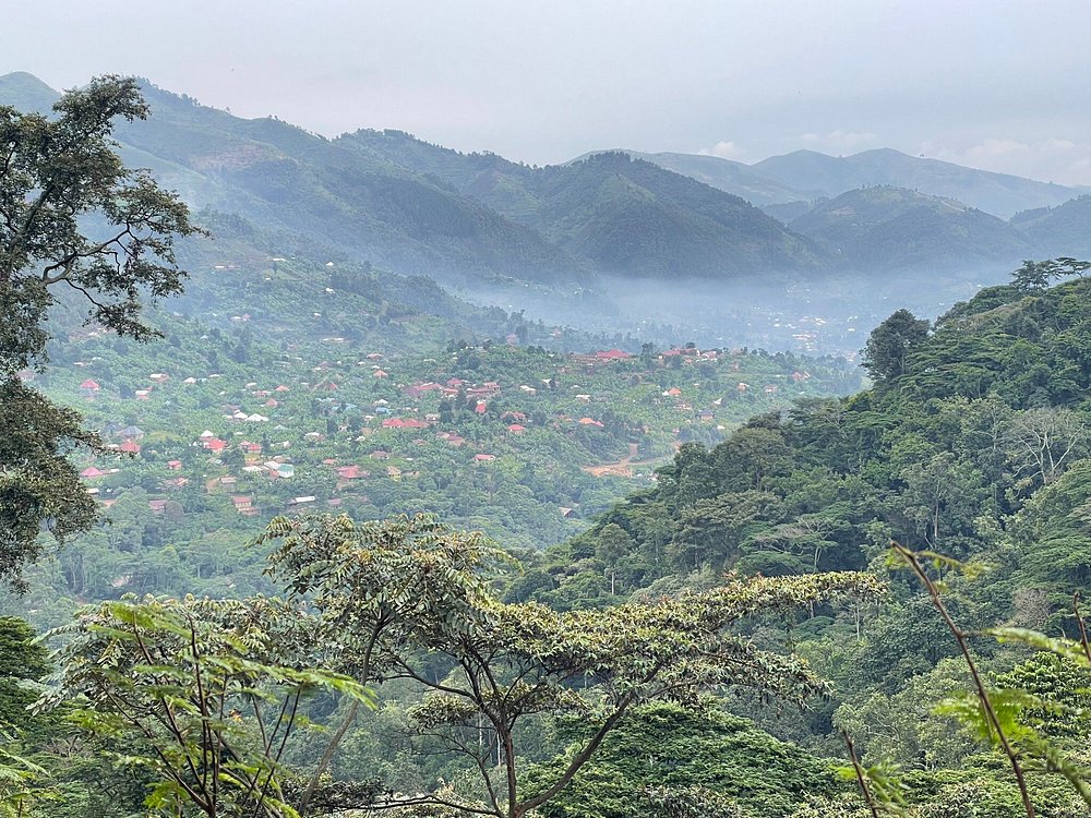 bwindi location (1) bwindi location 1