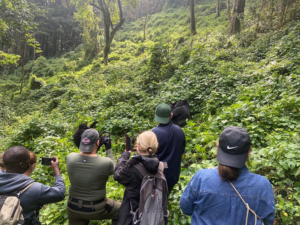 bwindi location (3) bwindi location 3