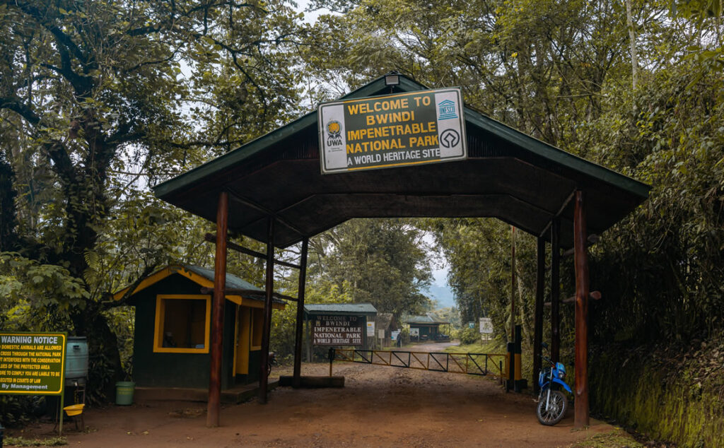 bwindi-national-park bwindi national park