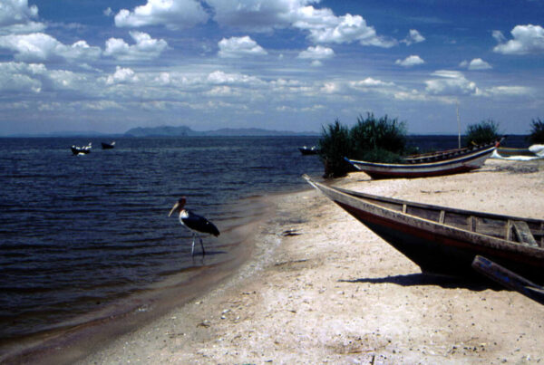 lake victoria africa 2