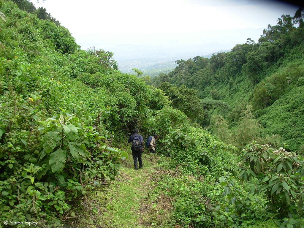 mgahinga national park