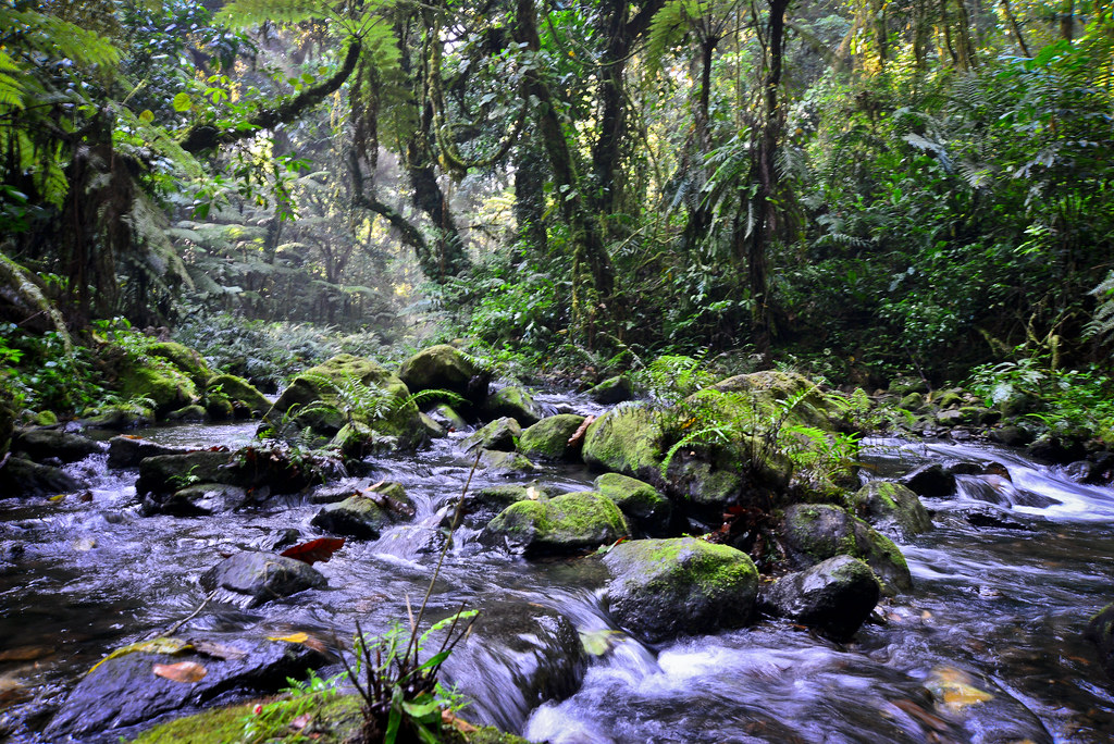 waterfalls in bwindi 1