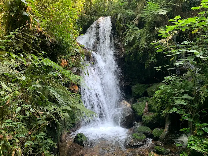 waterfalls in bwindi 1