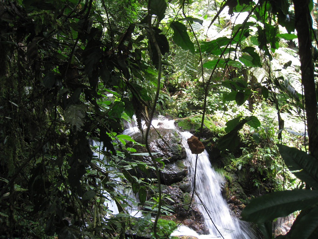 waterfalls in bwindi 2