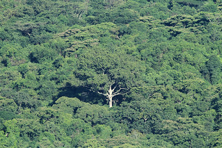 28296032947 25d322c7a9 n