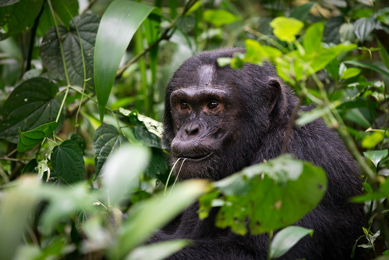 37388337332 29da2c9c02 c