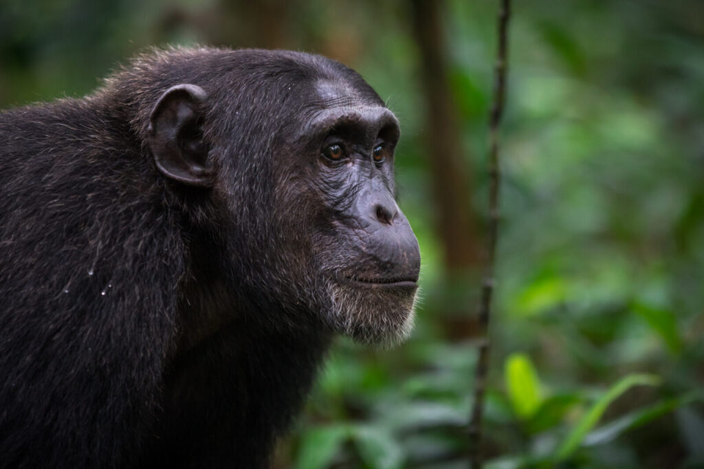 37435056561 629e92b916 k