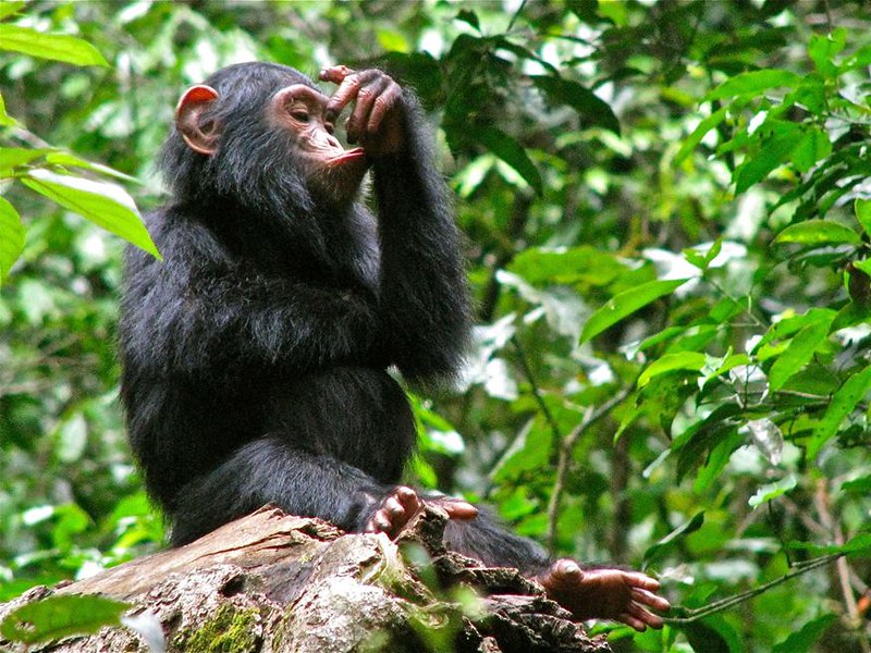 41218321082 69eda5bae8 c