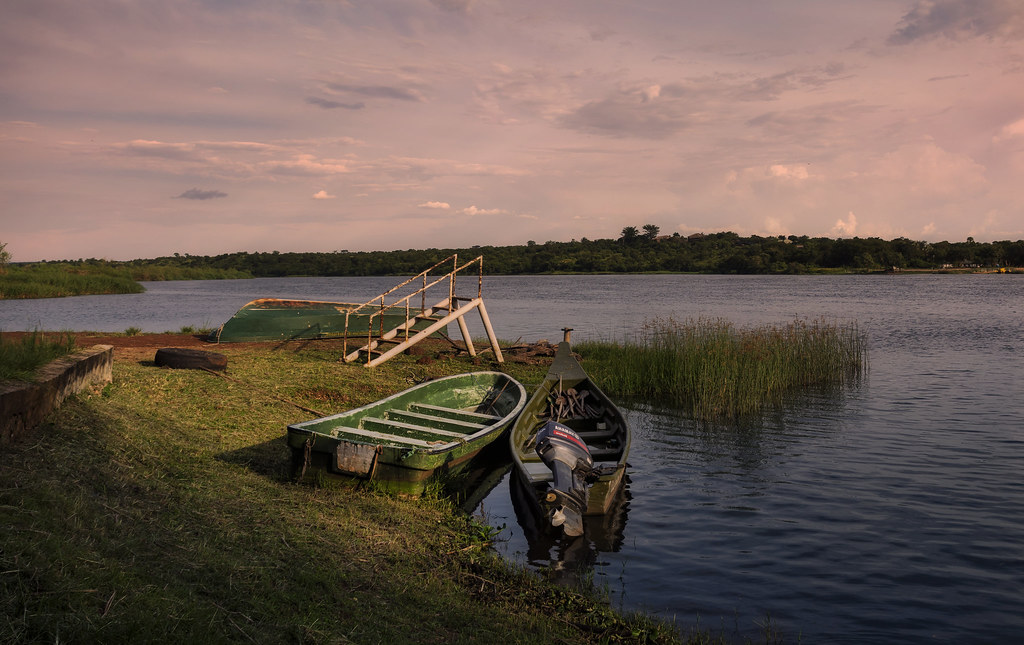 54673414622 c7d46d1a14 b