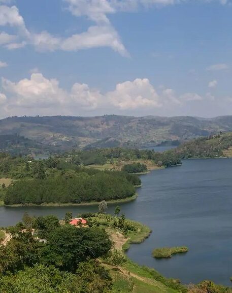 MGAHINGA BIODIVERSITY3 MGAHINGA BIODIVERSITY3 e1769644360793