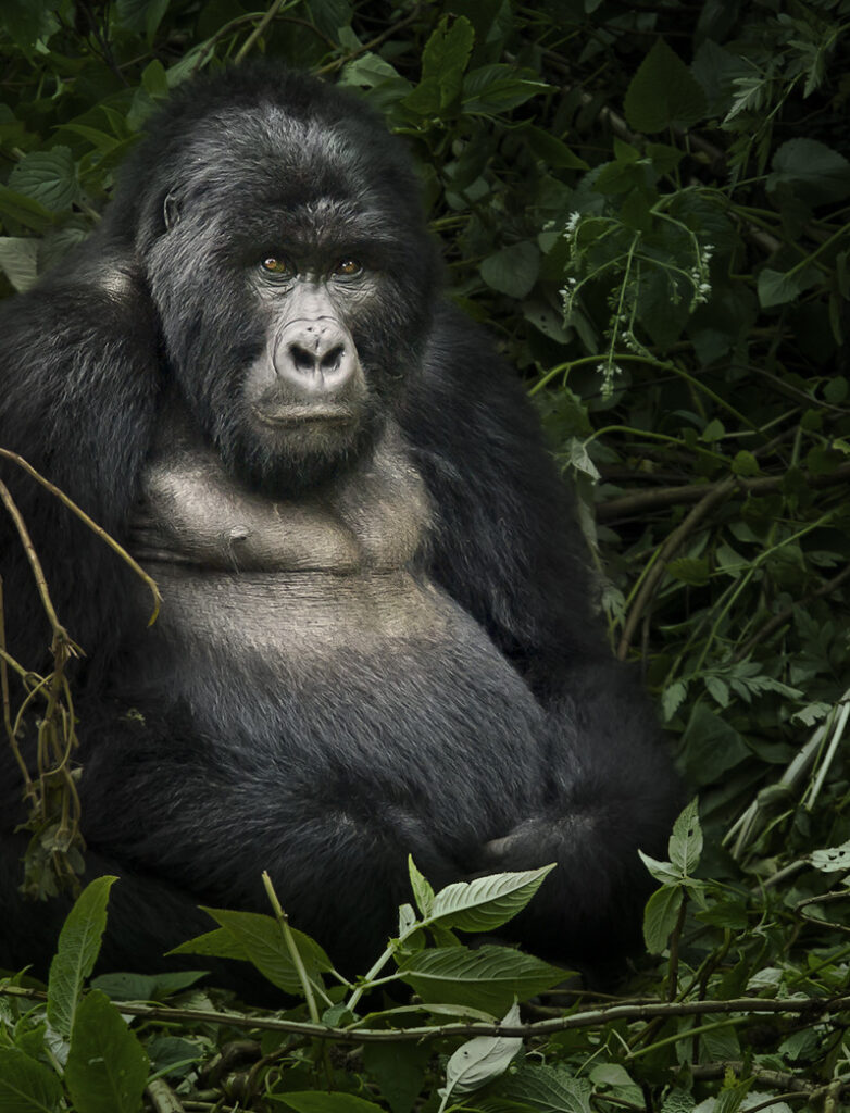 Ntebeko2 Ntebeko Visitor Centre