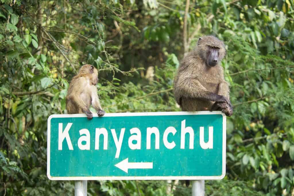 Uganda Visa & Border Crossings 53 svg+xml;charset=utf