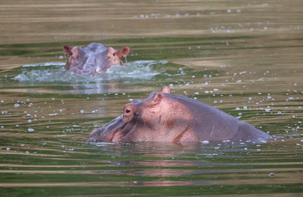 Queen Elizabeth National Park Queen Elizabeth National Park