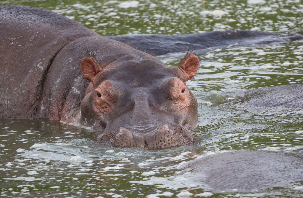 Queen Elizabeth National Park2 Queen Elizabeth National Park