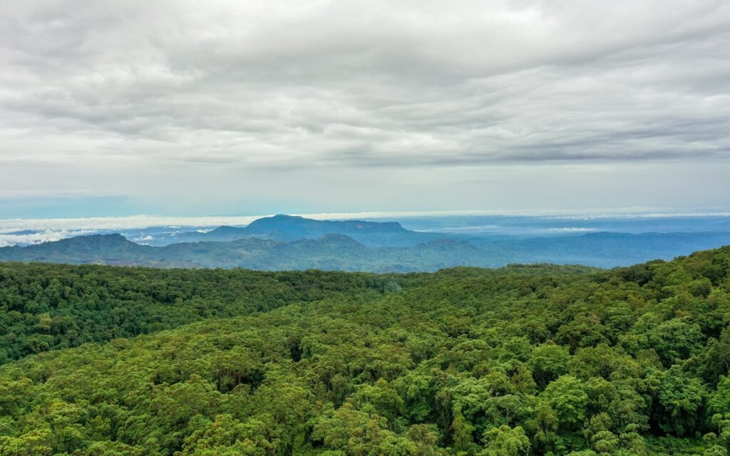 Uganda Visa & Border Crossings 54 svg+xml;charset=utf