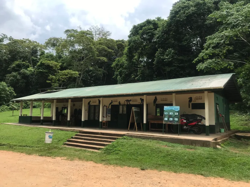 Top things to do see in Kibale national park Uganda