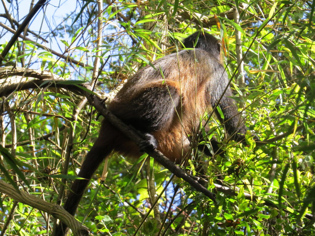 Uganda Visa & Border Crossings 33 svg+xml;charset=utf