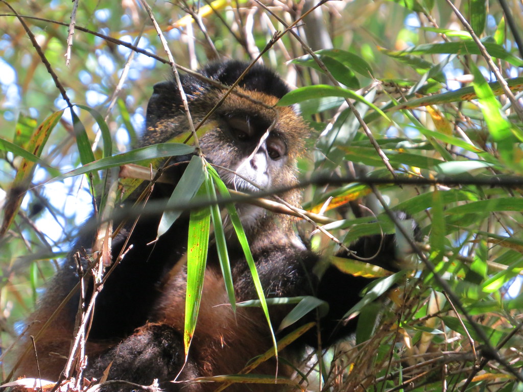 Uganda Visa & Border Crossings 40 svg+xml;charset=utf