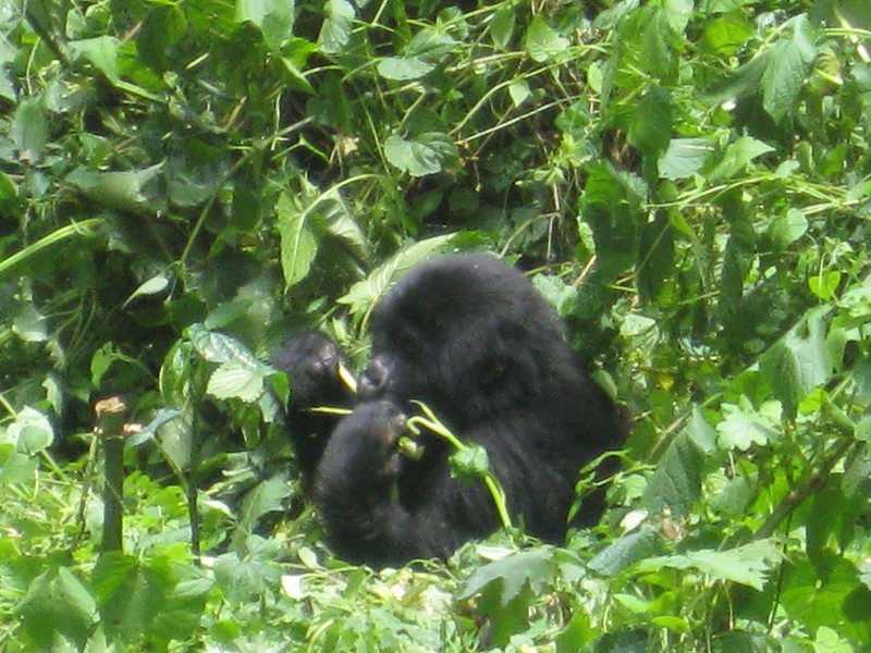 1506048646_Cd9Ed6561C_C Private Jet Four Seasons