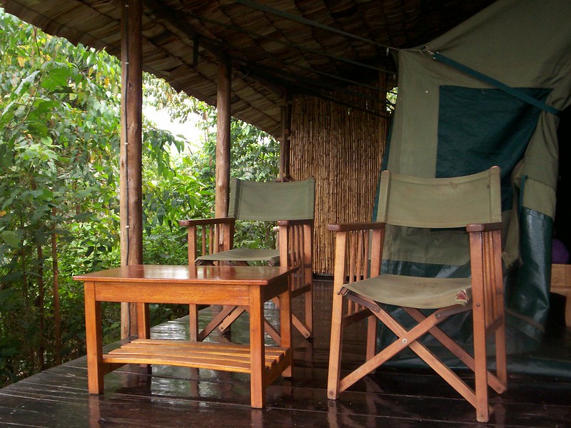 Key Species In Bwindi &Amp; Mgahinga 129 Key Species in Bwindi & Mgahinga