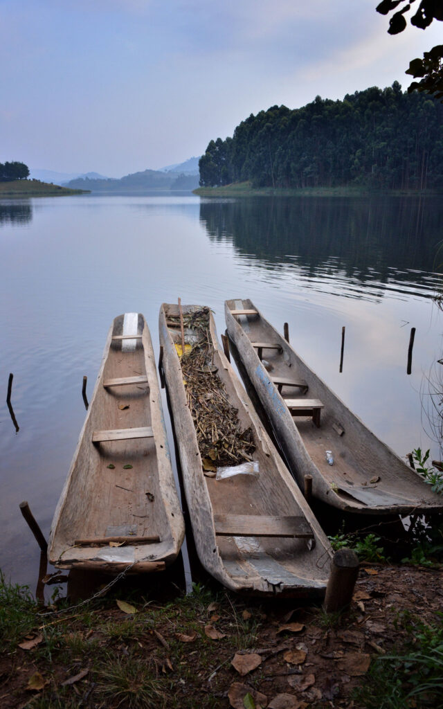 What Gorilla Trekking Really Looks Like (Raw Mountain Gorilla Videos from the Forest) 18 svg+xml;charset=utf