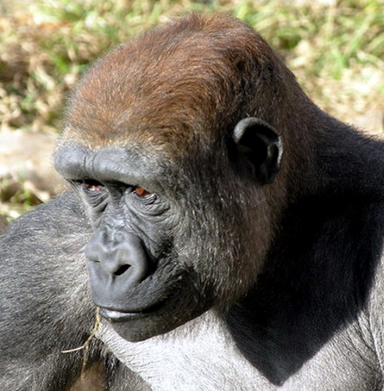 22914482753 c8352d2d56 c