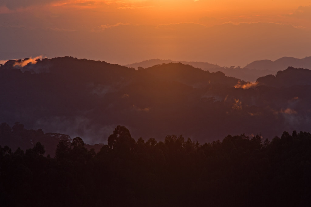 49271826333_A035032187_B Bakiga Lodge