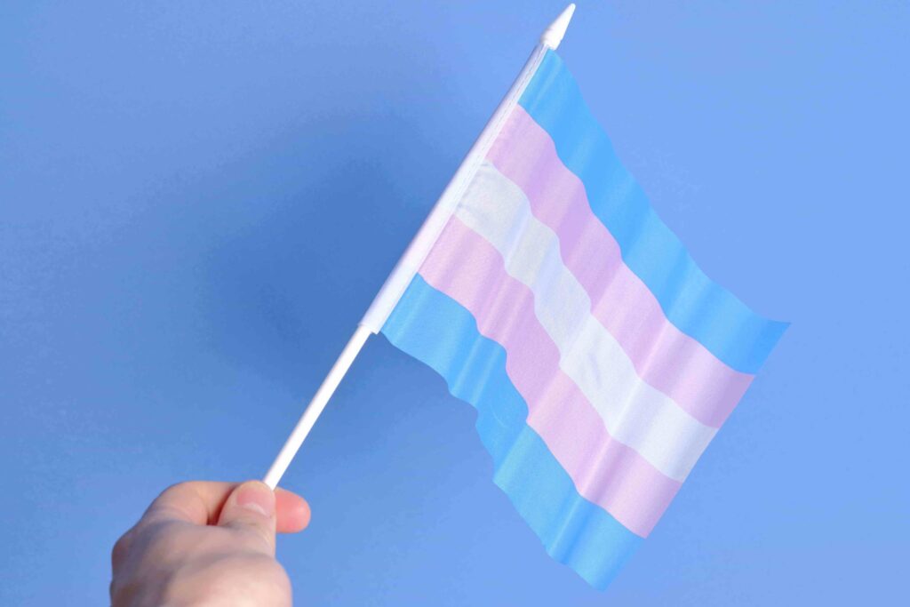 Key Species In Bwindi &Amp; Mgahinga 26 Key Species in Bwindi & Mgahinga