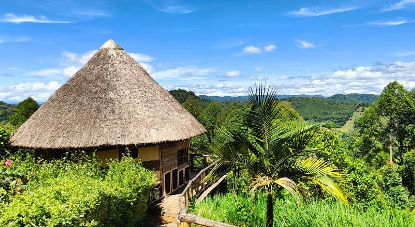 614925981 Agandi Uganda